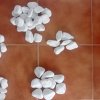  White Pebble stone 